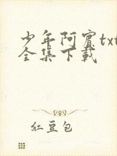 少年阿宾txt全集下载