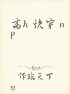 高h 快穿 np