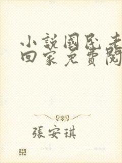 小说国民老公带回家免费阅读封面