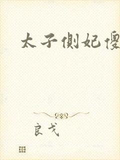 太子侧妃傻乎乎封面