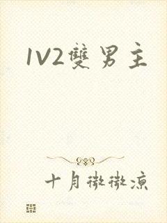1V2双男主