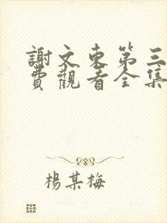 谢文东第三季免费观看全集