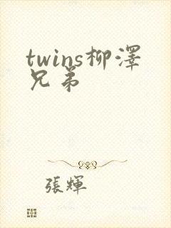 twins柳泽兄弟