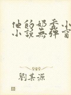 他的奶香小仙女小说无弹窗封面