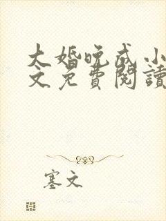 大婚晚成小说全文免费阅读封面