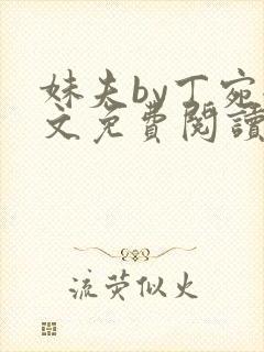 妹夫by丁宛全文免费阅读笔趣阁