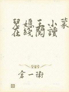 儿媳王小蒙小说在线阅读