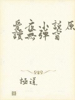 爱夜小说原文阅读无弹窗
