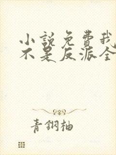 小说免费我真的不是反派全文阅读