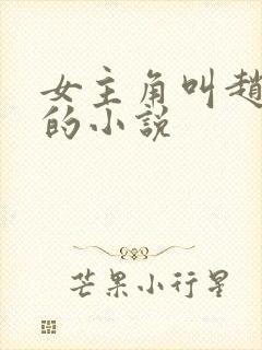 女主角叫赵蒹葭的小说
