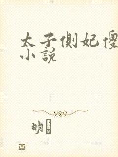太子侧妃傻乎乎小说