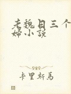 老魏日三个儿媳妇小说封面