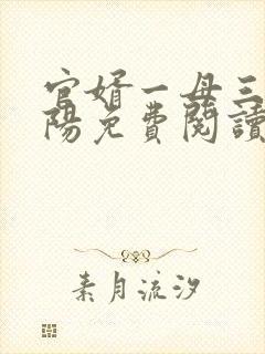 官婿一母三女陈阳免费阅读小说封面