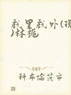 戏里戏外(现场)林栀