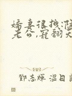 娇妻很拽:隐婚老公,宠翻天