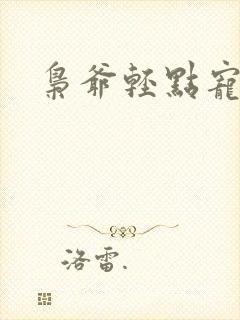 枭爷轻点宠小说
