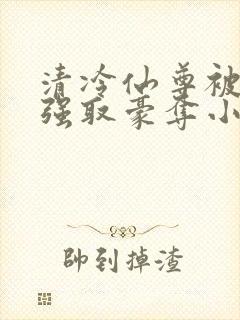 清冷仙尊被魔尊强取豪夺小说
