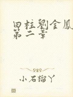 田柱刘金凤小说第二章封面