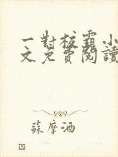 一对校霸小说全文免费阅读封面