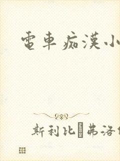 电车痴汉小说