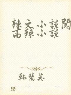 辣文小说阅读网高辣小说