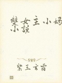 双女主小妈文学小说