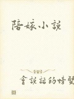 陪嫁小说