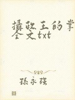 摄政王的掌中娇全文txt封面