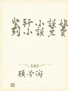 紫轩小说姐弟系列小说免费阅读封面