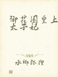 御花园皇上撞着太子妃