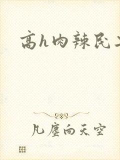高h肉辣民工文