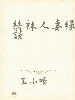 丝袜人妻绿帽小说封面