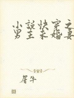 小说快穿之我是男主未婚妻全文阅读