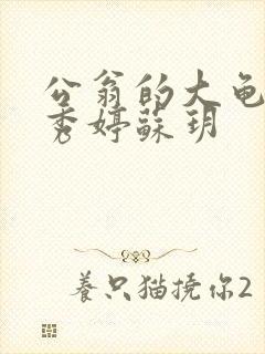 公翁的大龟挺进秀婷苏玥封面