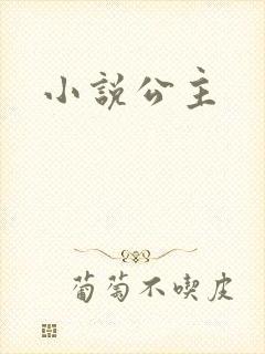 小说公主