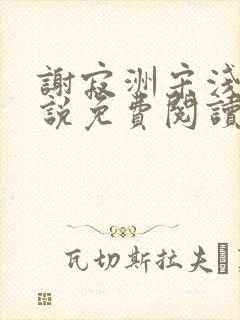 谢寂洲宋浅予小说免费阅读最新章节封面