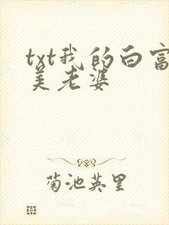 txt我的白富美老婆