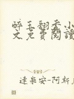 醉玉翻香小说全文免费阅读