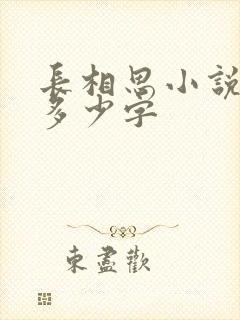 长相思小说原著多少字