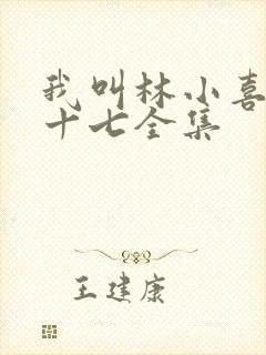 我叫林小喜今年十七全集