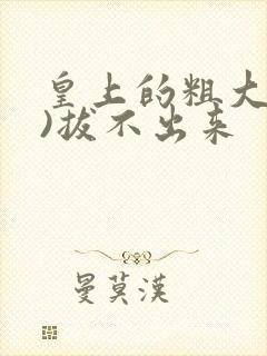 皇上的粗大(h)拔不出来封面