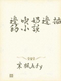 边吃奶边插进去的小说
