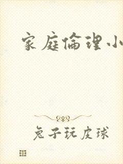 家庭伦理小说封面