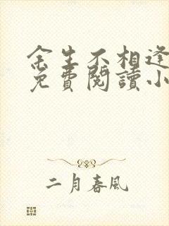 余生不相逢全文免费阅读小说封面