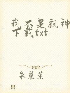 我不是戏神小说下载txt