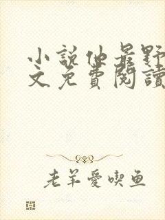 小说他最野了全文免费阅读