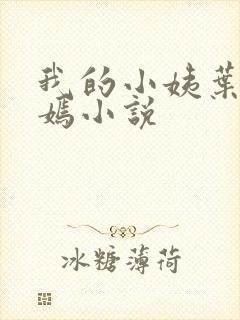 我的小姨叶凡司嫣小说