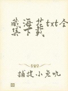 藏海花txt全集下载