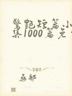 惊艳短篇小说合集1000篇免费阅读封面