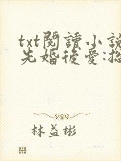 txt阅读小说先婚后爱:总裁老公狂宠妻